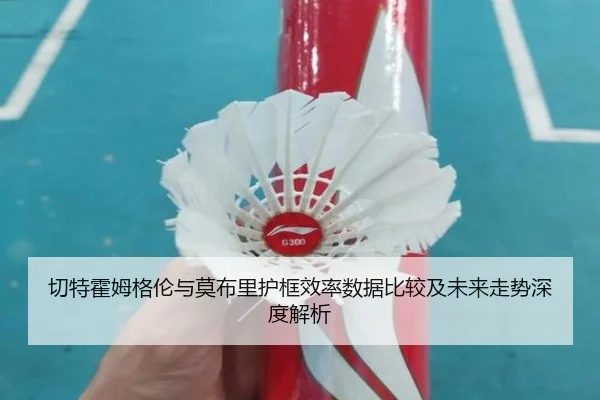 切特霍姆格伦与莫布里护框效率数据比较及未来走势深度解析